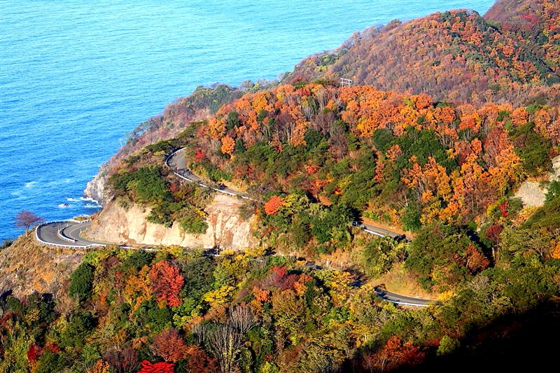 良友旅行社 黑部立山黑部峽谷鐵道新日本旅行地100選獨領楓燒七日