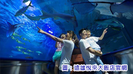 花蓮遠雄悅來海洋公園自在2日