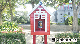 小金門品蜂蜜玩汽水3日遊