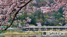 京阪奈三都～春櫻飛舞５日