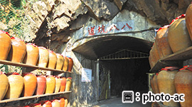 馬祖南北竿+大坵島賞梅花鹿3日
