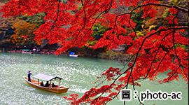 關西紅葉賞~品蟹湯樂5日宇治平等院‧奈良小鹿‧溫泉‧螃蟹料理