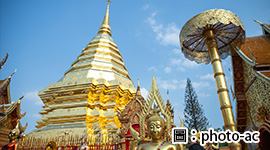 飛越清邁~南邦叢林飛索、夜間動物園泰國蘭娜5日