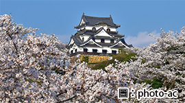 春櫻北陸～櫻花百選飛驒小京都雙溫泉5日