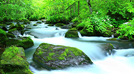 東北絕景～白神山地・奧入瀨溪流・五能線白神號・百選溫泉7日