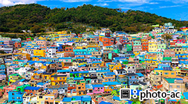 釜山美食狂饗曲(BR)5日